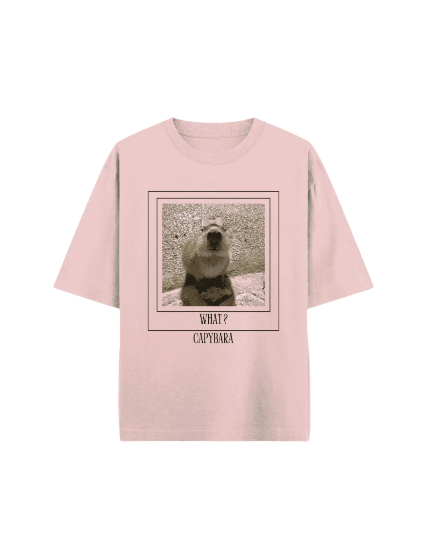 Capybara Princess