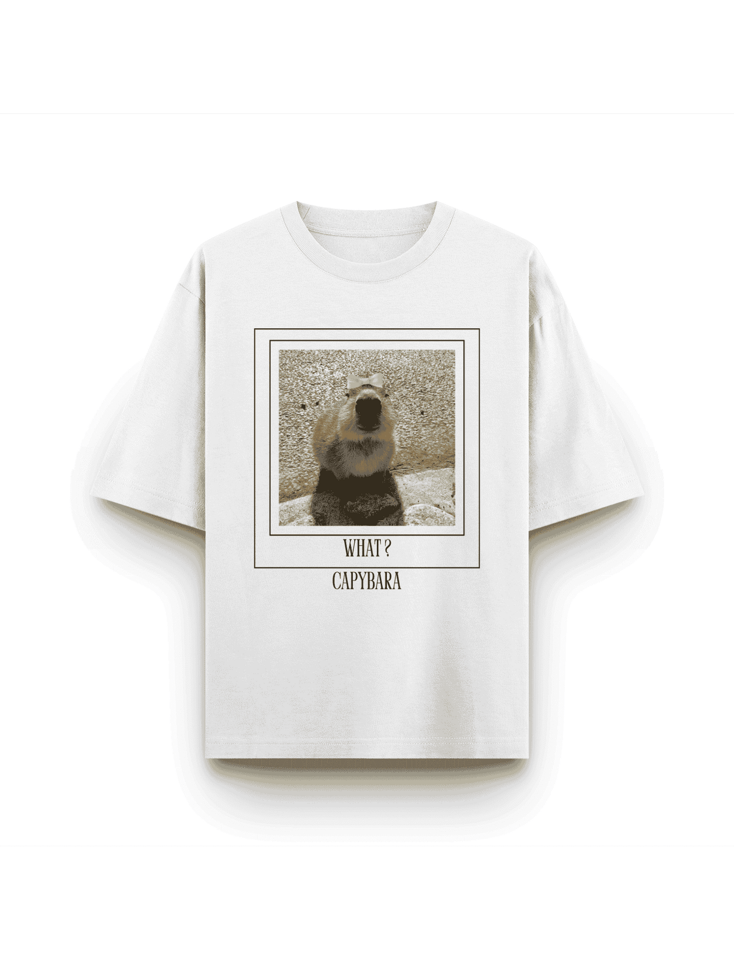 Capybara Princess