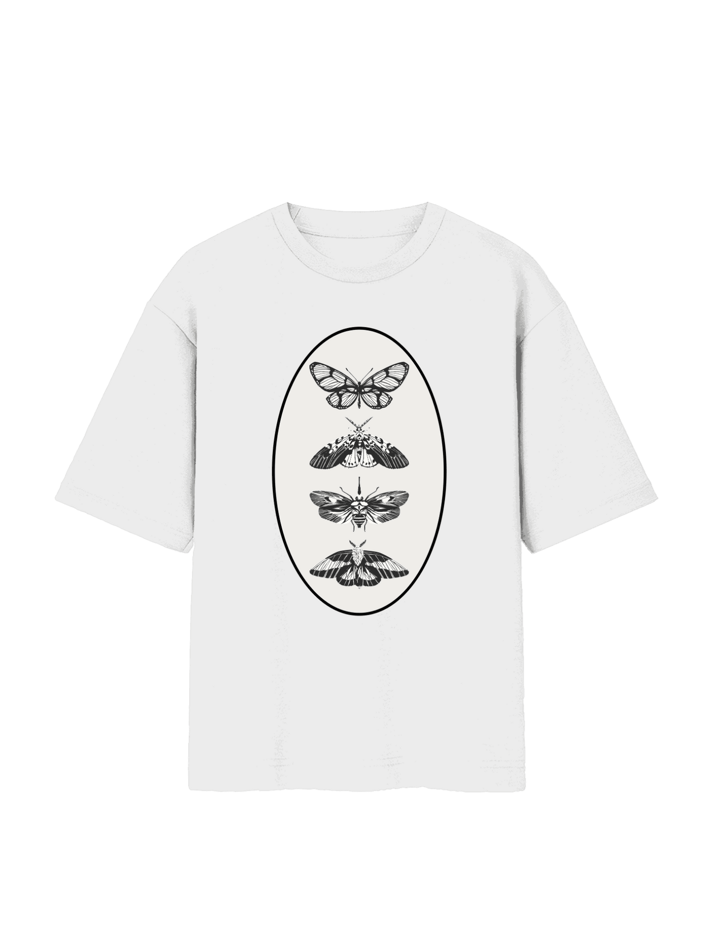 Butterfly Specimen