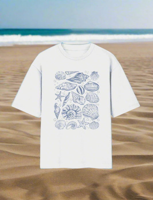 Seashells